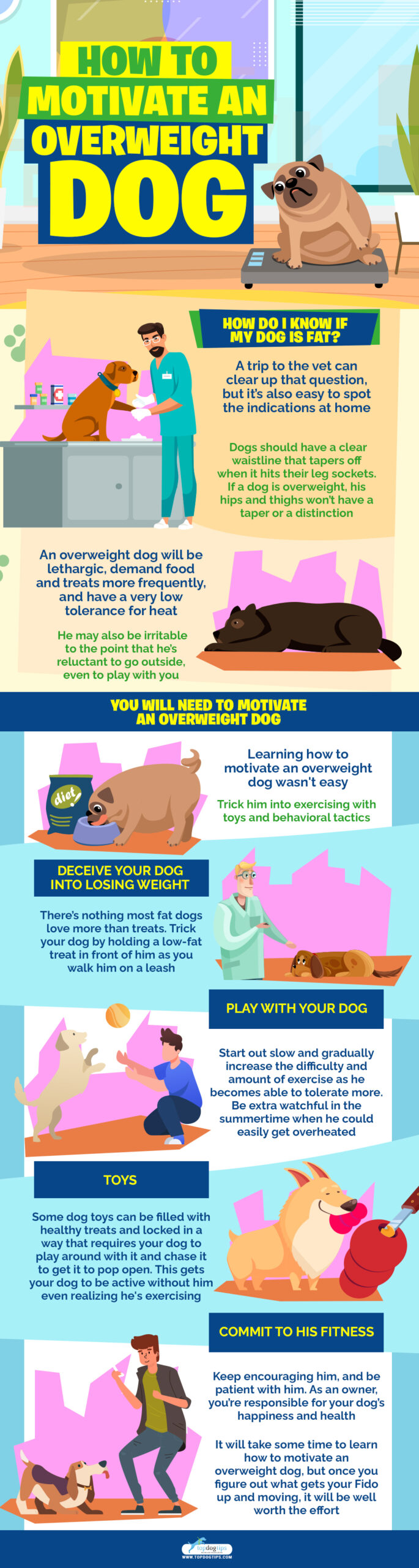 How to Motivate an Overweight Dog infographics