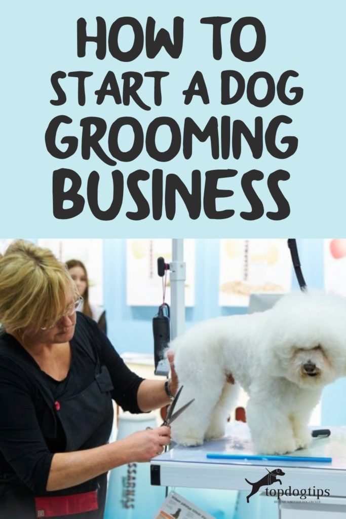 Start a Dog Grooming Business