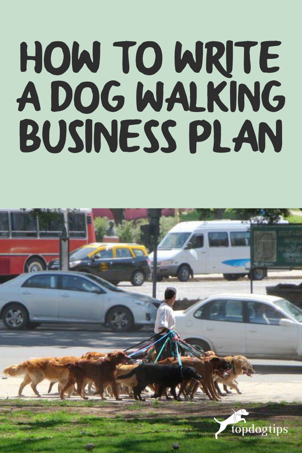 How to Write a Dog Walking Business Plan