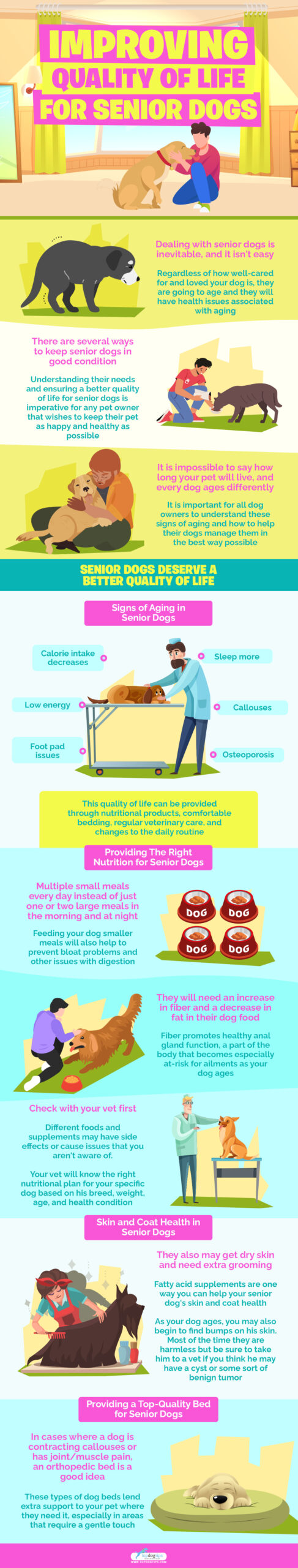 Improving Quality of Life for Senior Dogs infographics