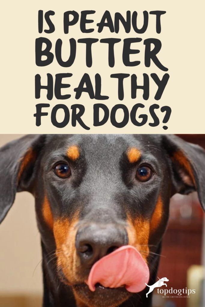 Is Peanut Butter Healthy for Dogs