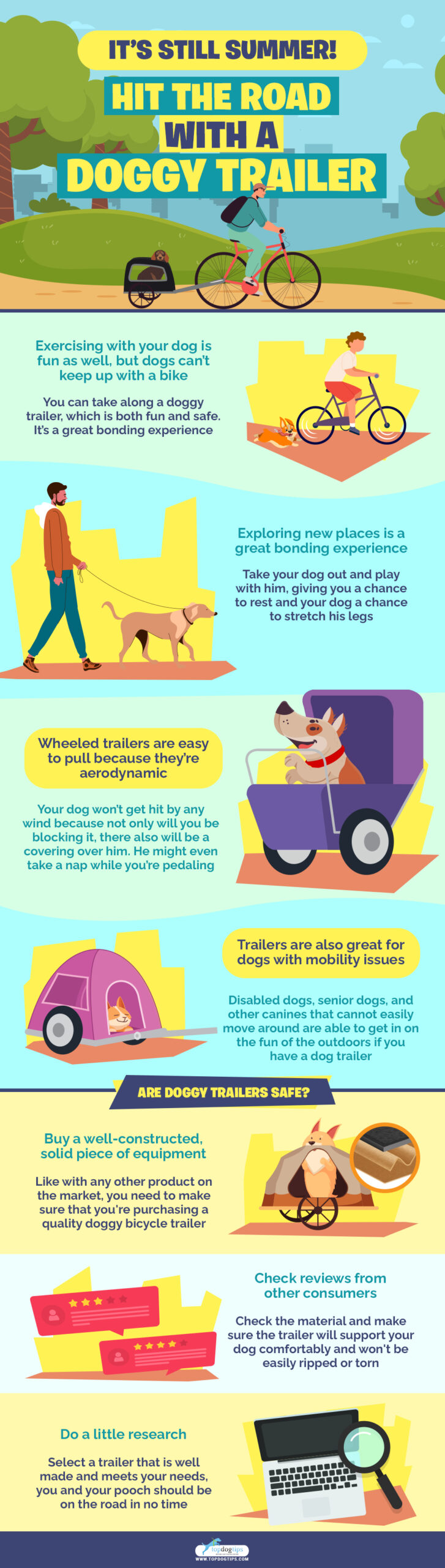 Road with a Doggy Trailer infographics