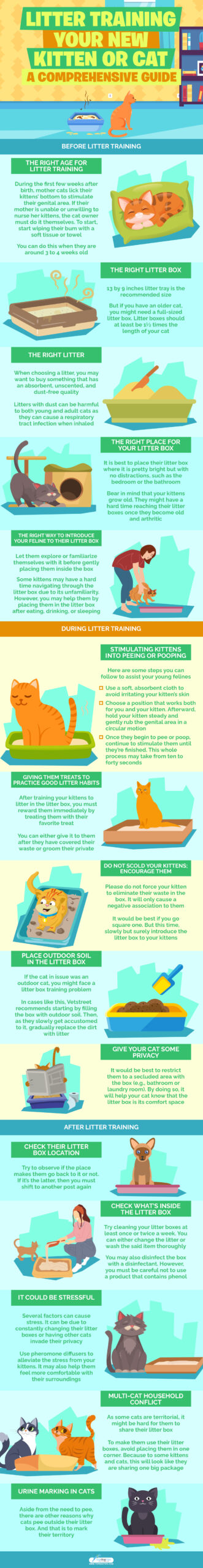 Litter Training Your New Kitten Or Cat infographics