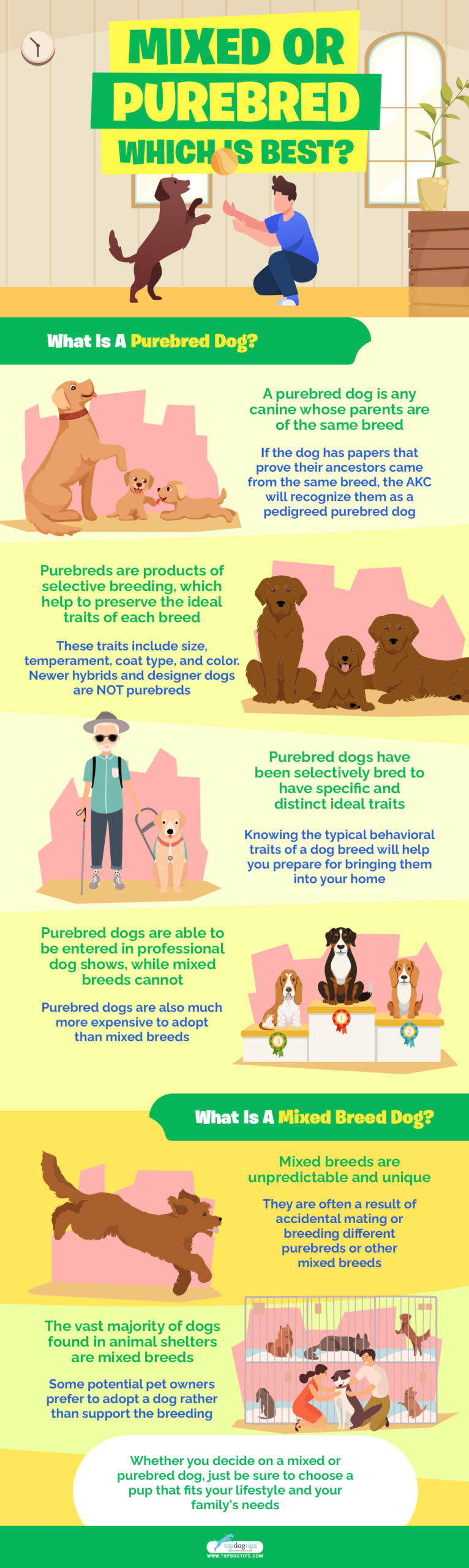 Mixed or Purebred infographics