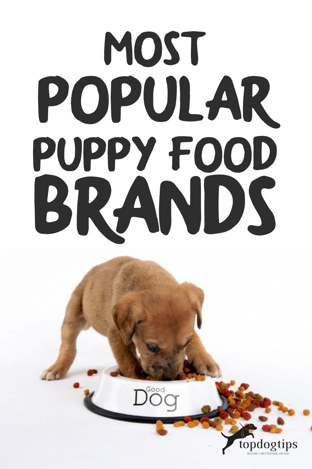 Most Popular Puppy Food Brands