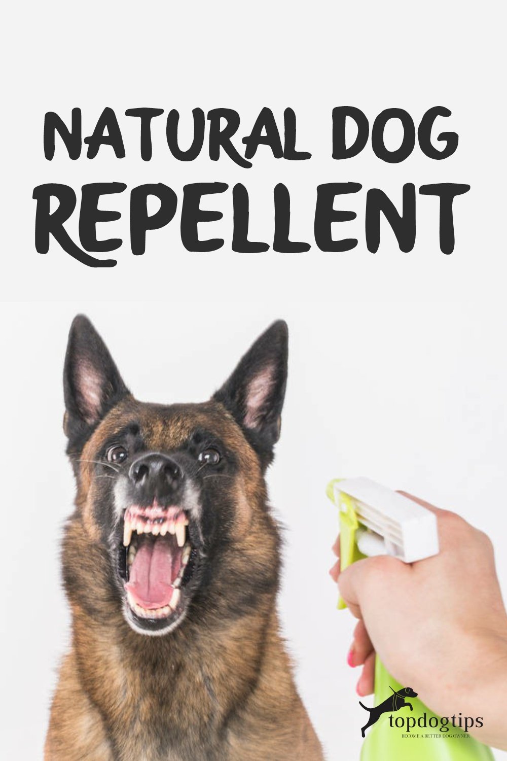 Natural Dog Repellent