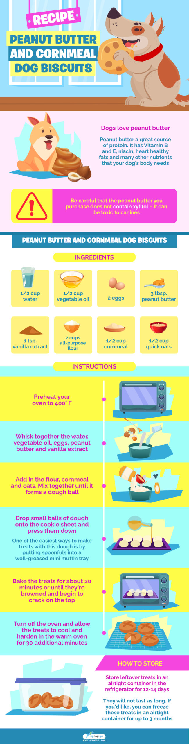 Peanut Butter and Cornmeal Dog Biscuits infographics