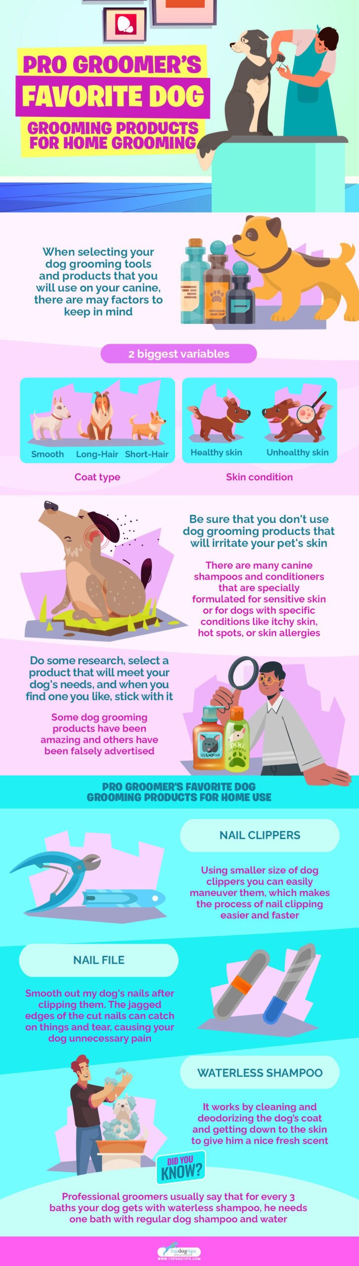 Pro Groomer’s Favorite Dog Grooming Products for Home Grooming infographics