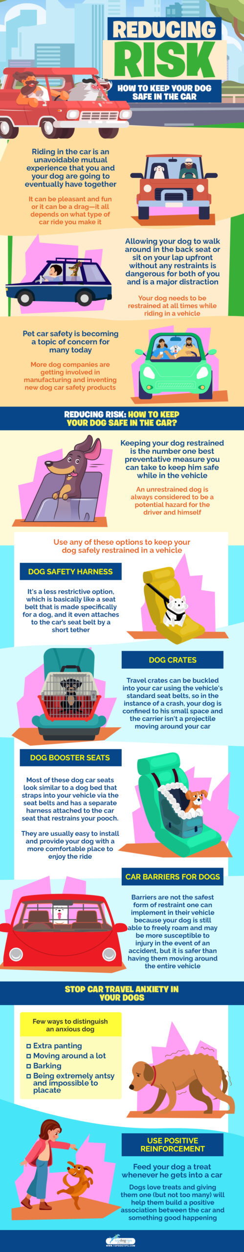 Reducing Risk TopDogTips infographics