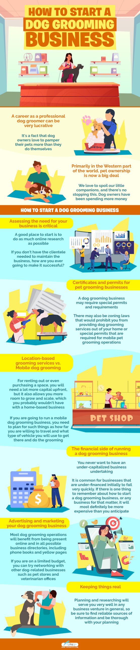 Start dog grooming business infographics