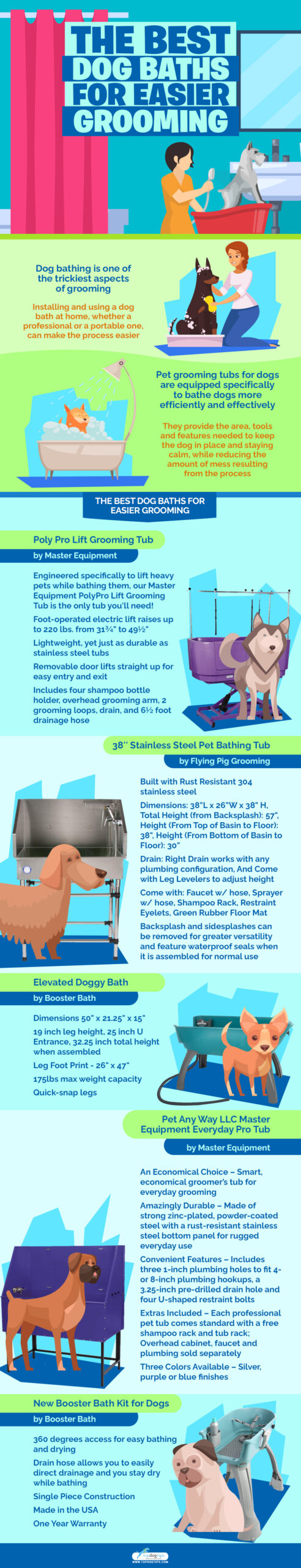 The Best Dog Baths infographics