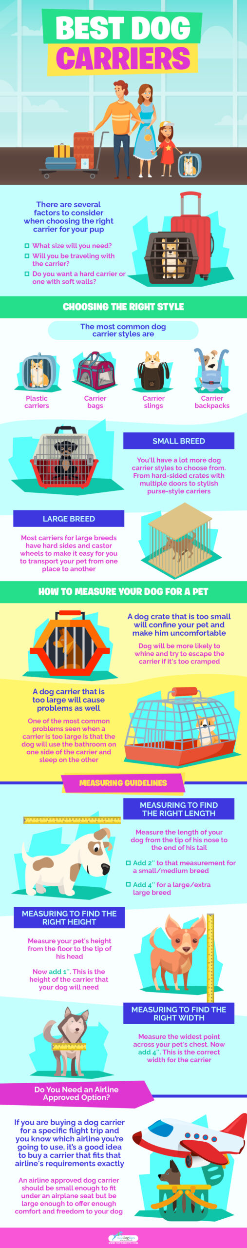 The Best Dog Carriers Review infographics