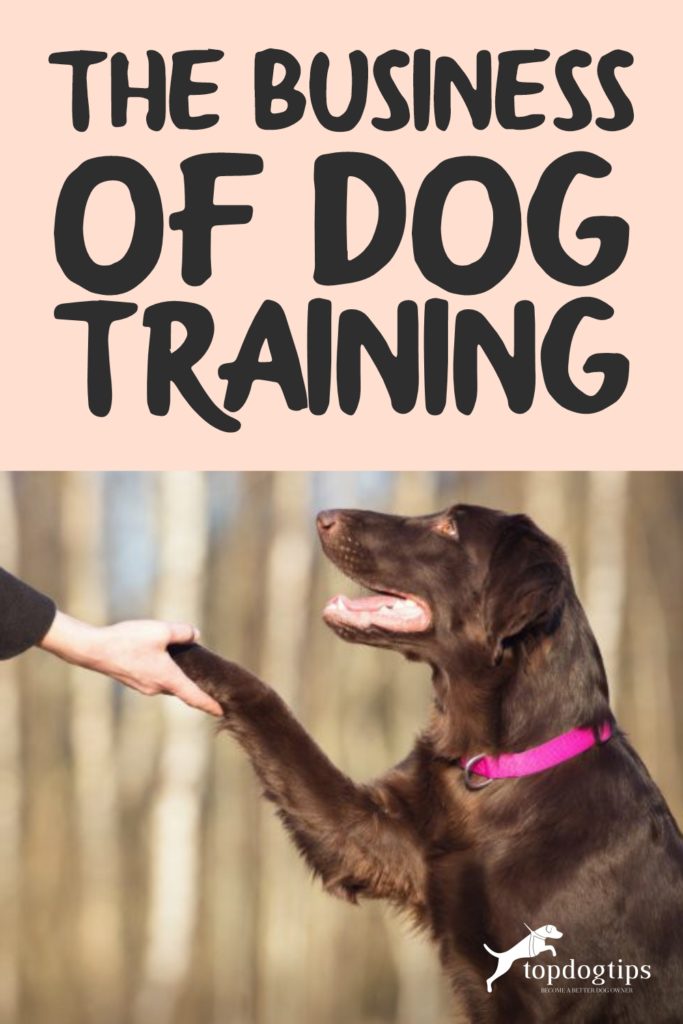 Business of Dog Training