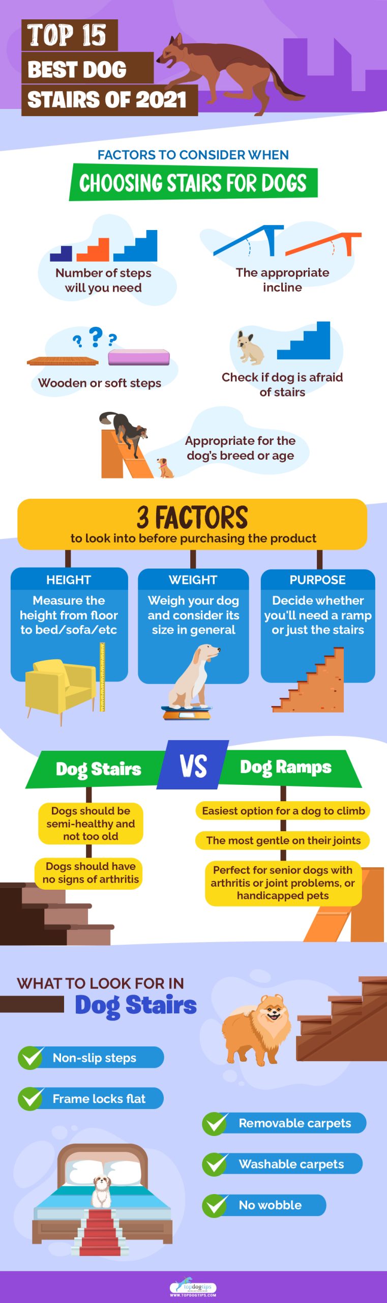 factors for best dog stairs infographic