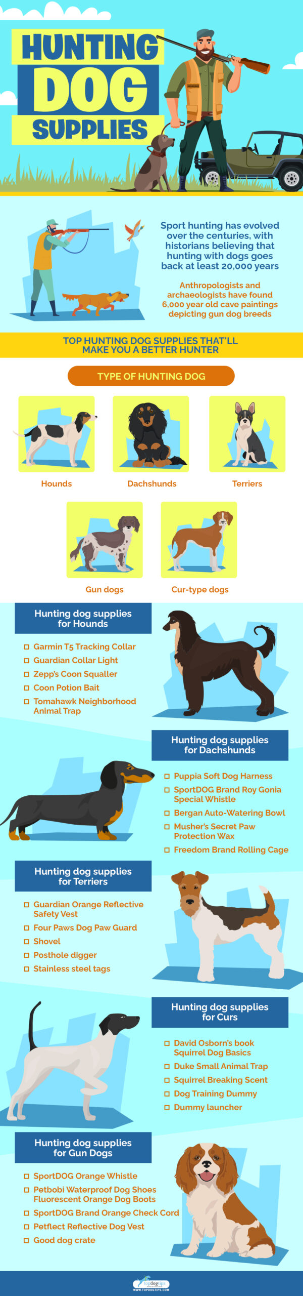 Top Hunting Dog Supplies infographics