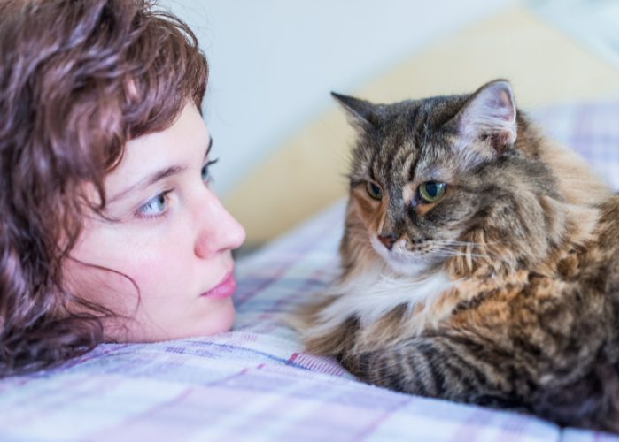 Maine Coons Are Communicative