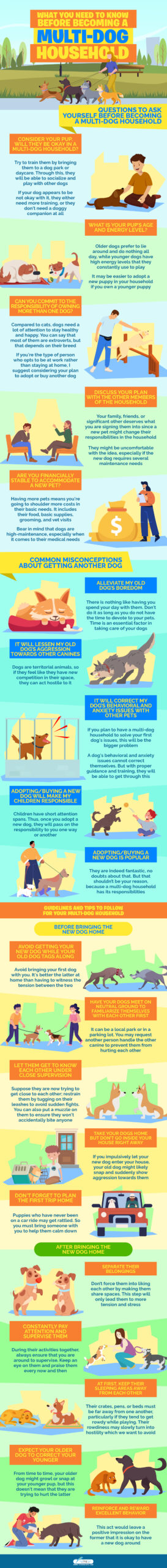 What You Need To Know Before Becoming a Multi-Dog Household infographics