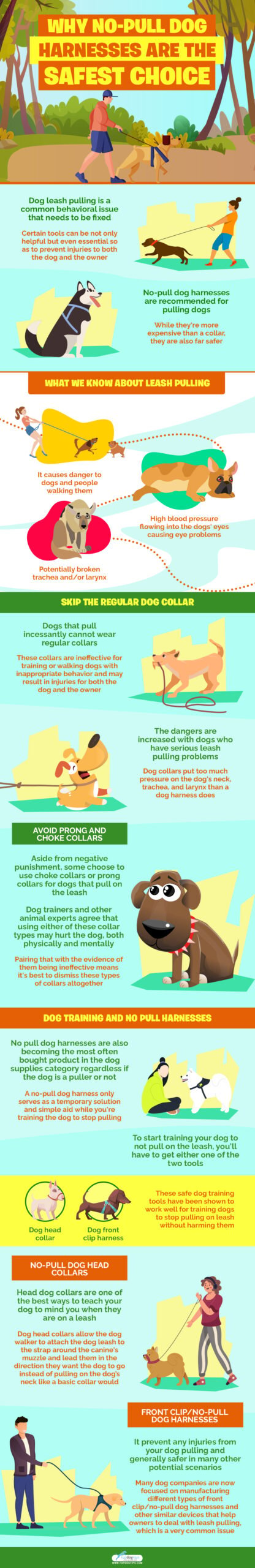 Why No-Pull Dog Harnesses Are the Safest Choice infographics