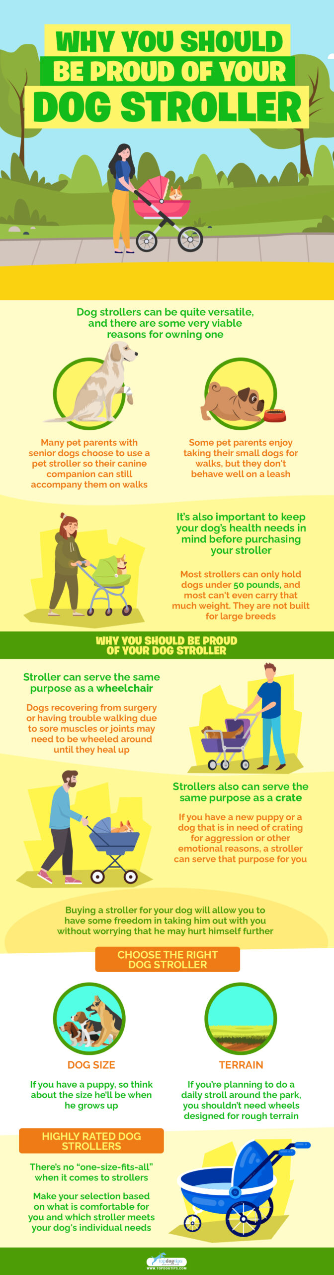 Why You Should Be Proud of Your Dog Stroller infographics