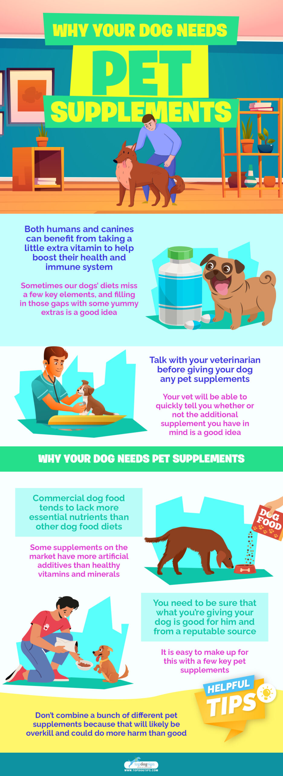 Why Your Dog Needs Pet Supplements infographics