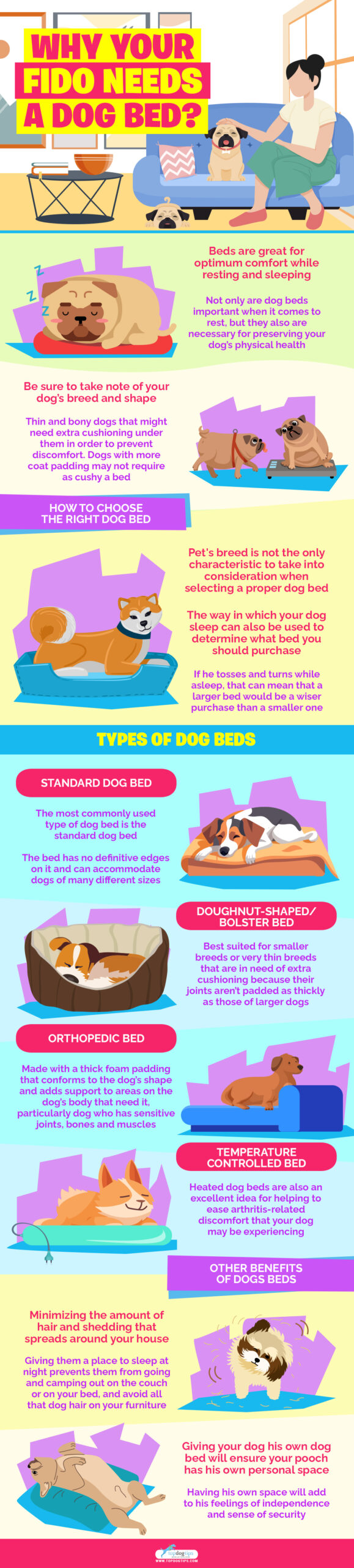 Why your dog needs a dog bed infographics