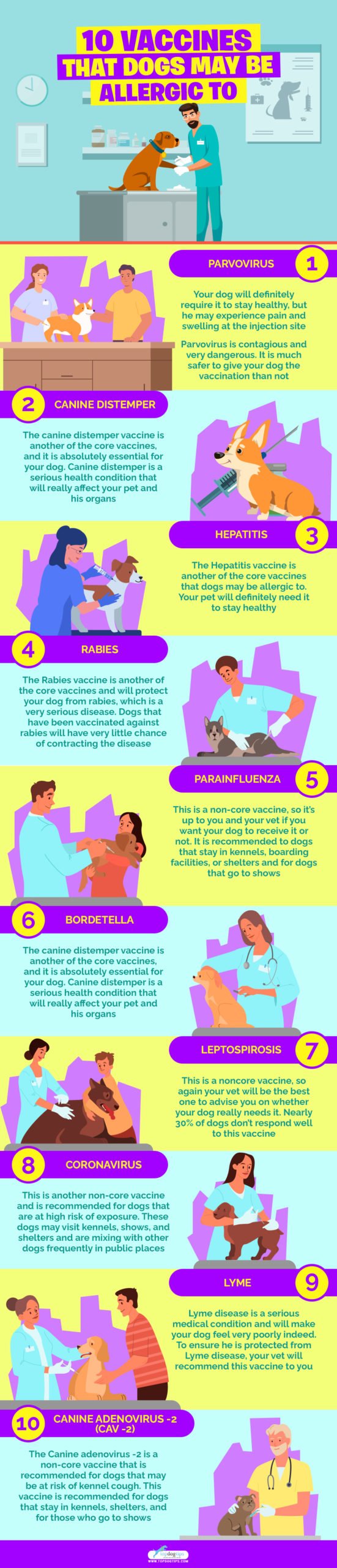 10 Vaccines That Dogs May Be Allergic To infographics