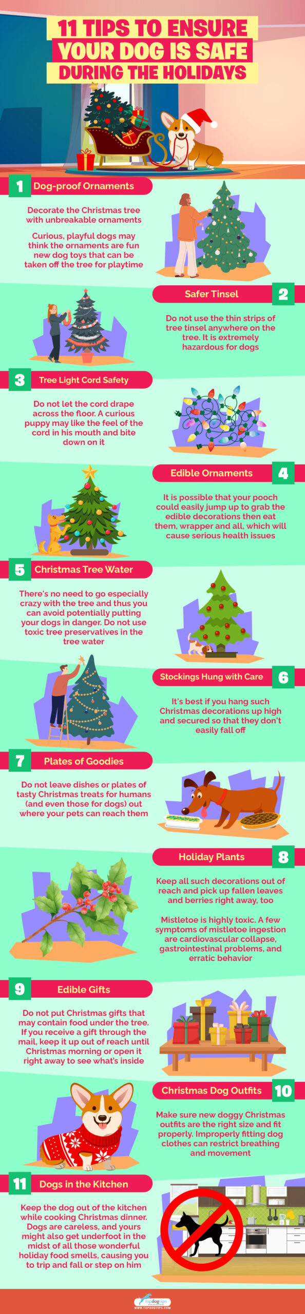 11 Tips to Ensure Your Dog is Safe During the Holidays infographics