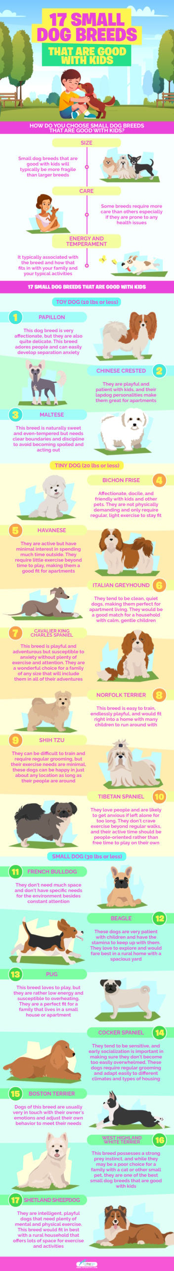 17 Small Dog Breeds That Are Good With Kids infographics