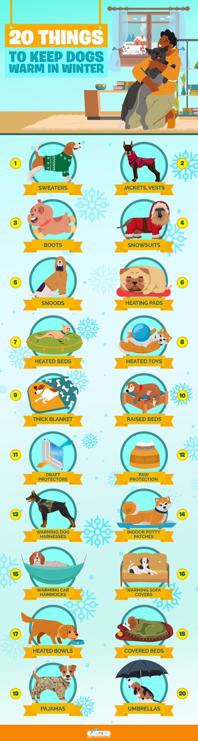 20 Things to Keep Dogs Warm in Winter infographics