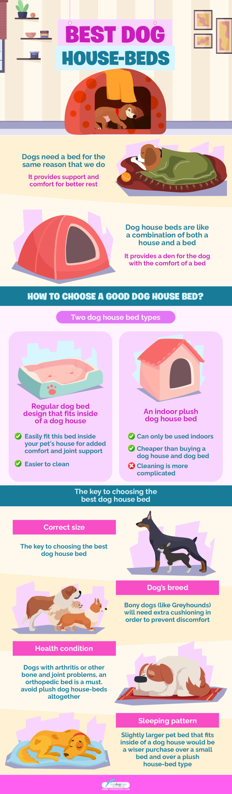 5 Best Dog House-Beds infographics