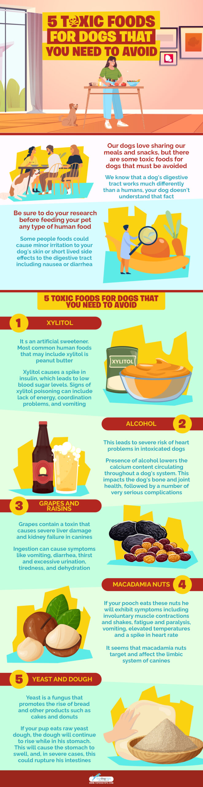 5 Toxic Foods for Dogs That You Need To Avoid infographics