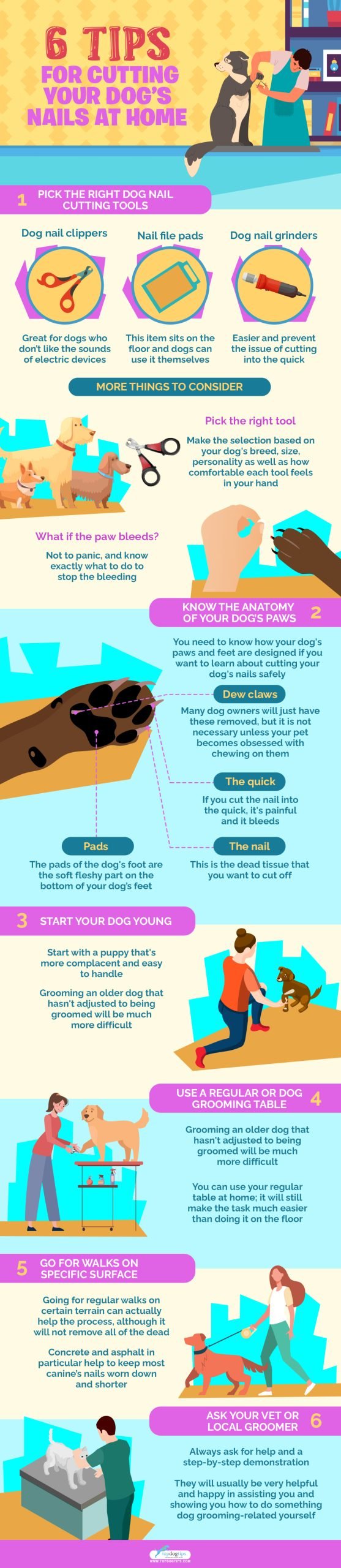 Cutting Your Dog’s Nails at Home