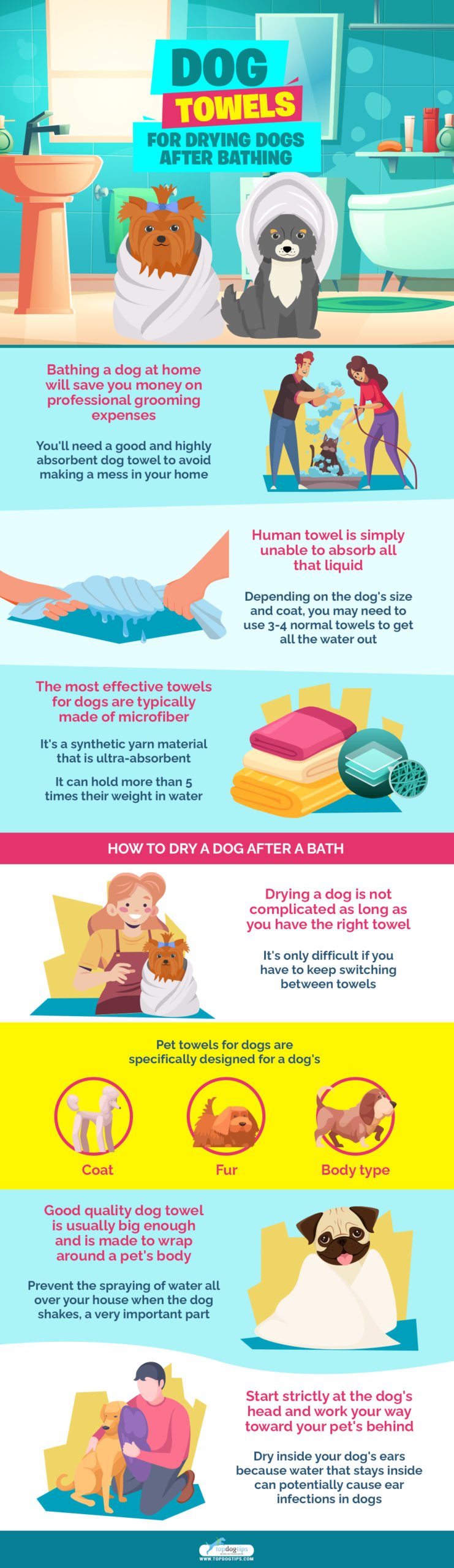 7 Best Dog Towels for Drying Dogs After Bathing infographics 