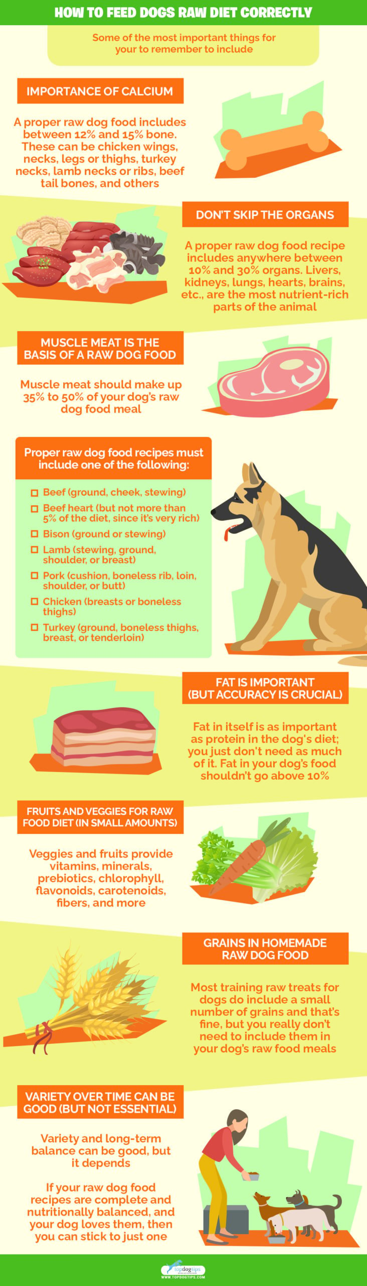 7 Best Raw Dog Food Recipes