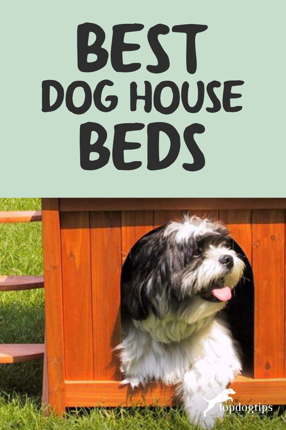 Best Dog House Beds