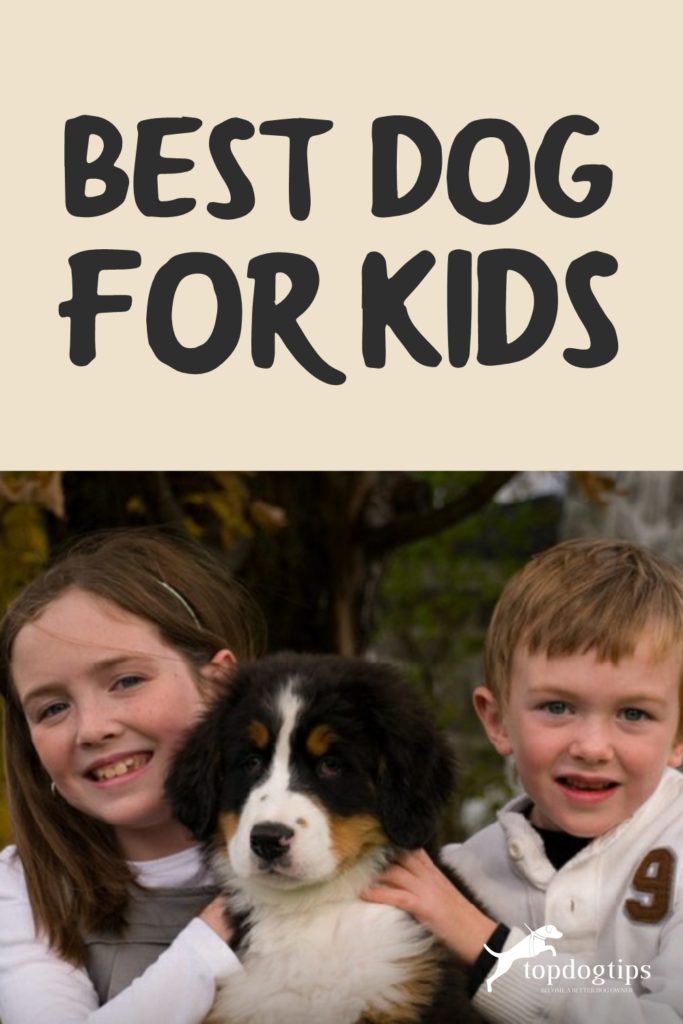 Best Dog for Kids