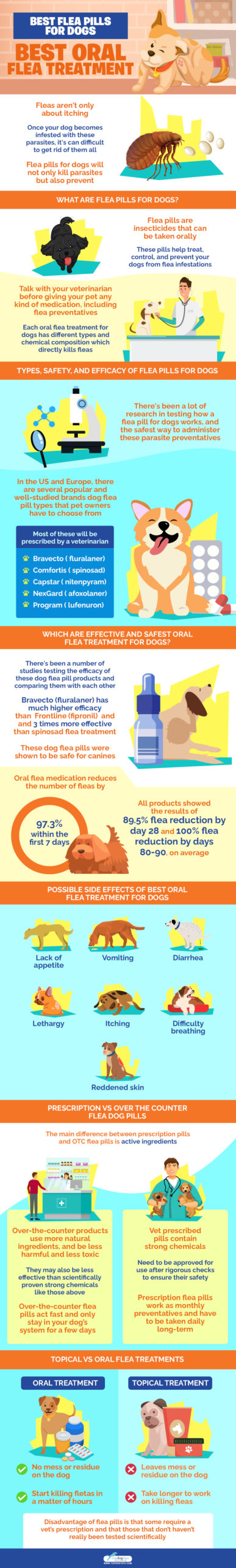 Best Flea Pills for Dogs 7 Best Oral Flea Treatment