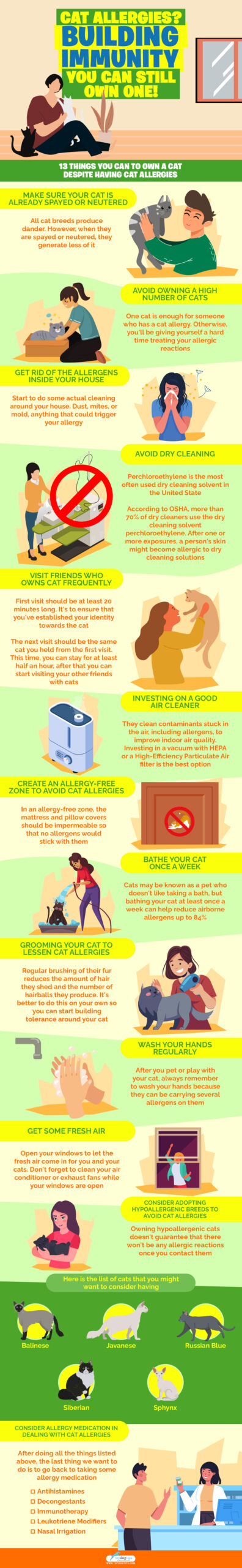 Cat Allergies infographics