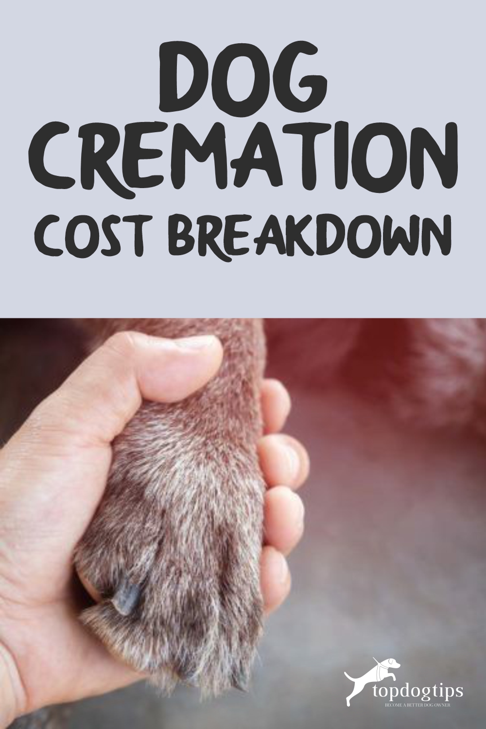 Dog Cremation Cost Breakdown