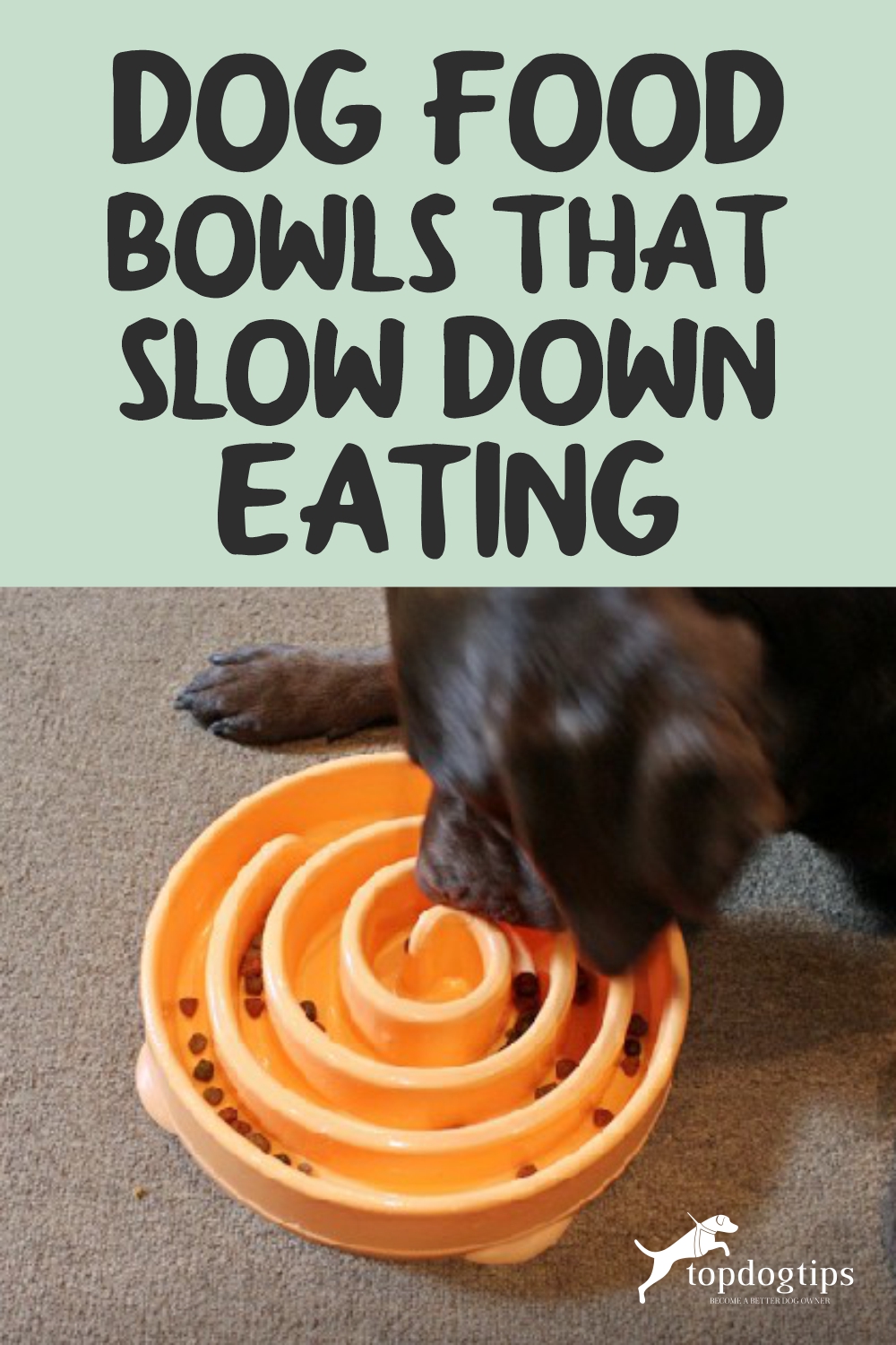 Dog Food Bowls That Slow Down Eating