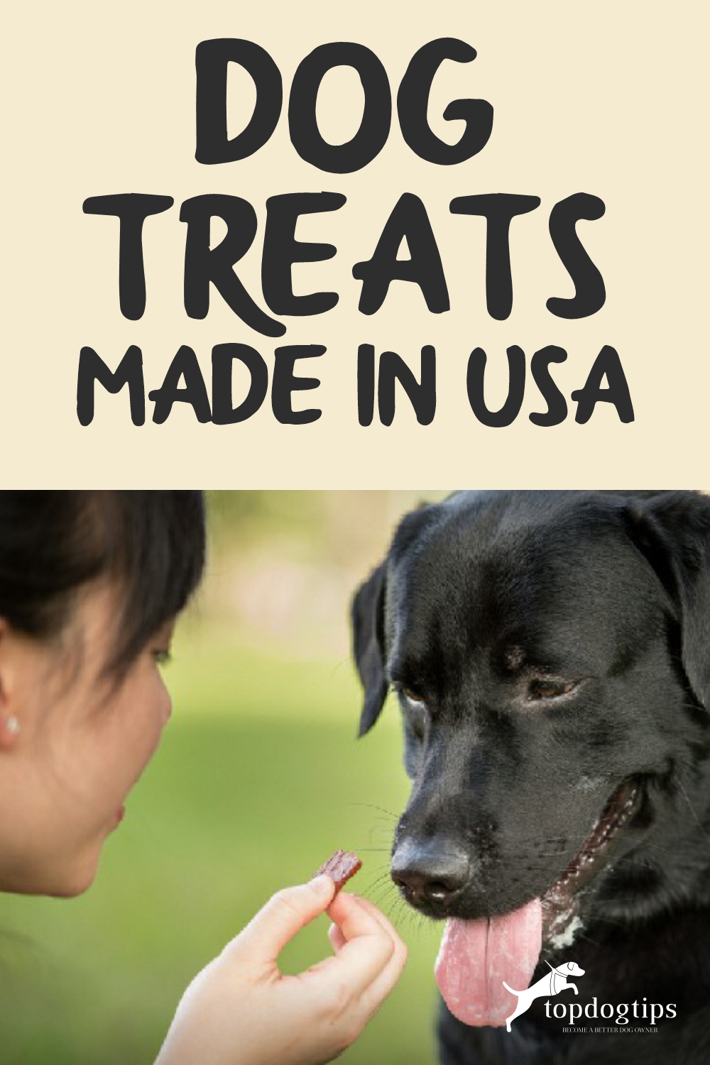 Dog Treats Made in USA