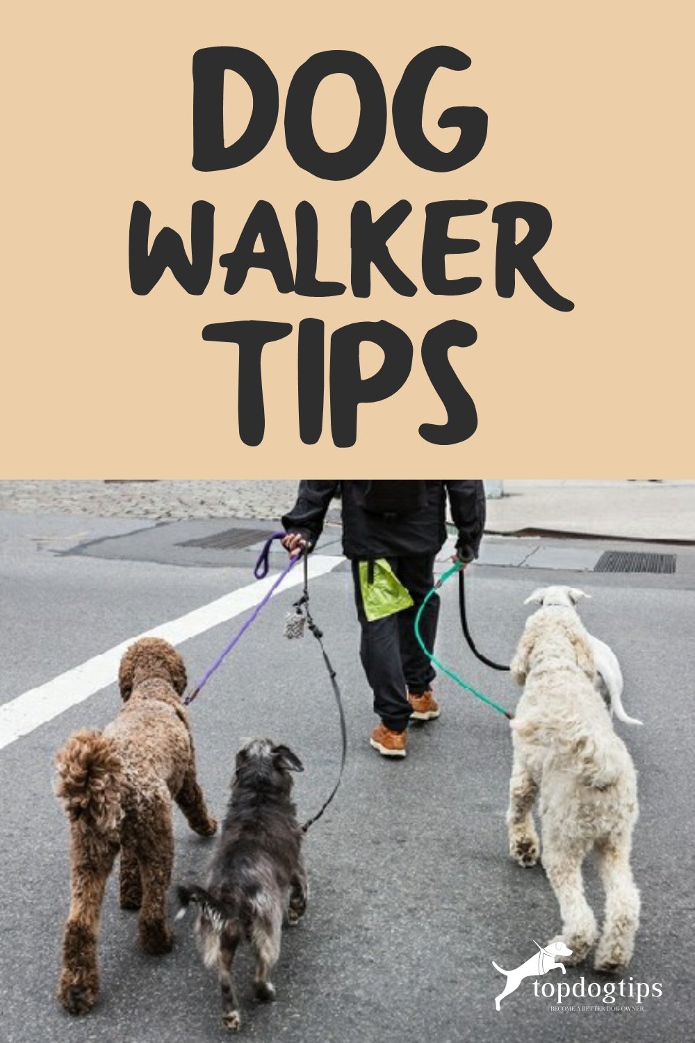 Dog Walker Tips