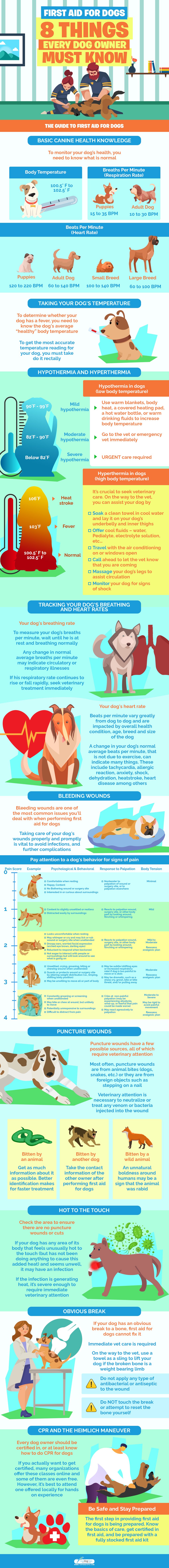 First Aid for Dogs infographics