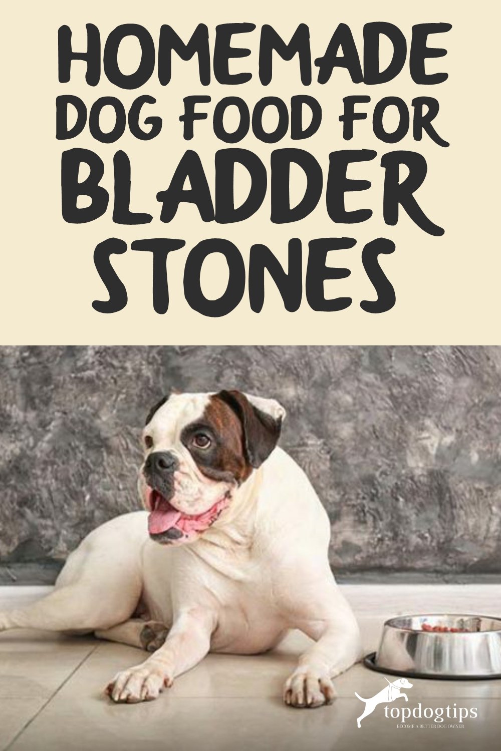 Homemade Dog Food for Bladder Stones 