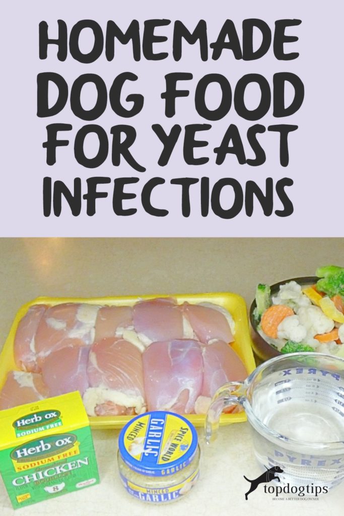 Homemade Dog Food for Yeast Infections