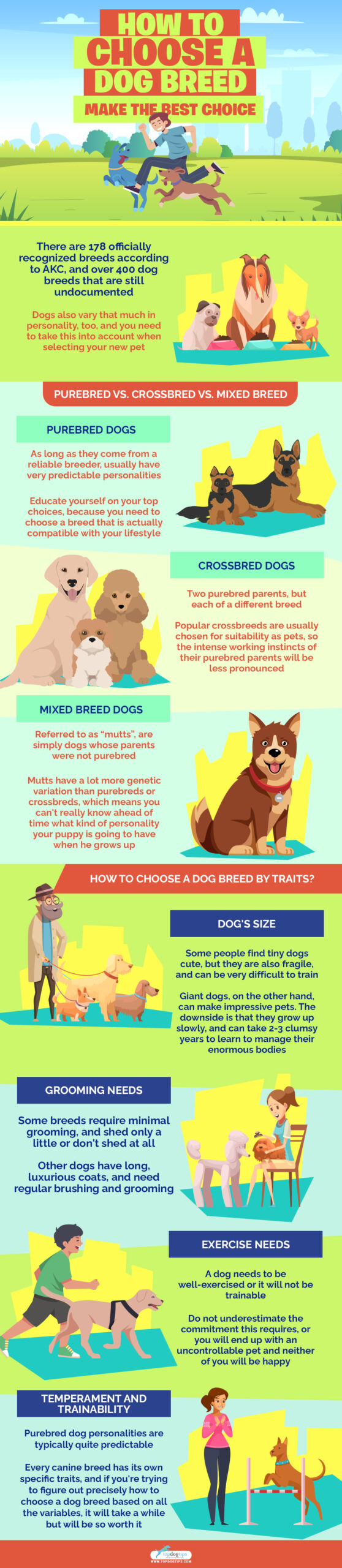 How to Choose a Dog Breed infographics