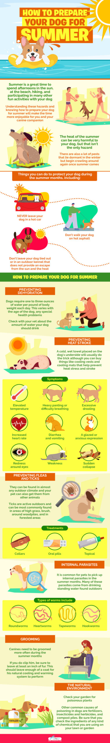 How to Prepare Your Dog for Summer infographics