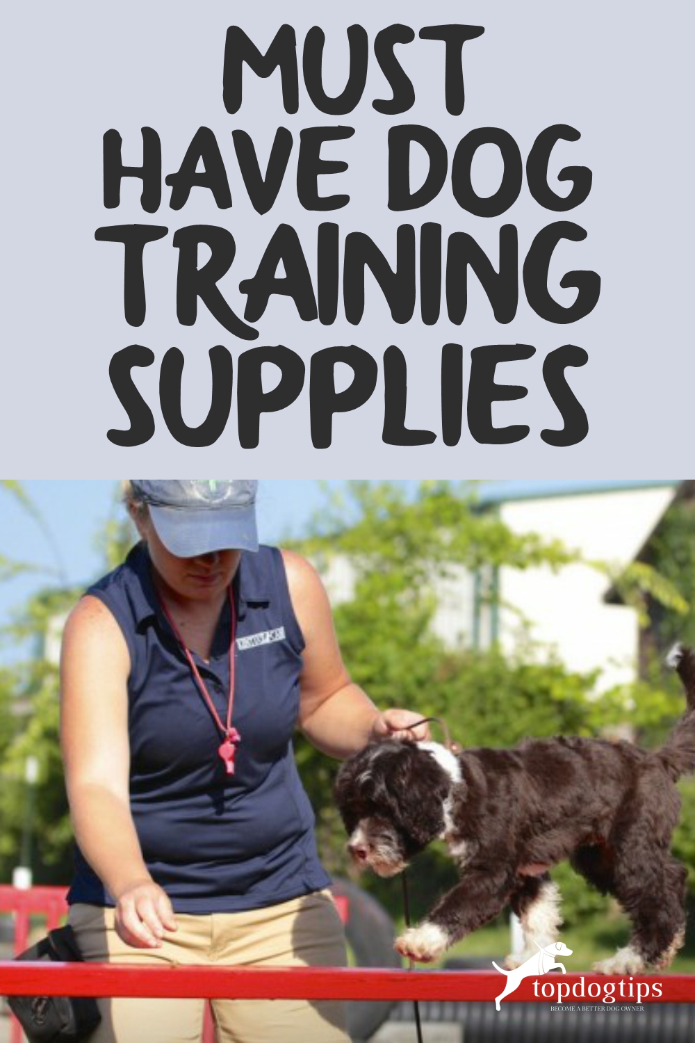 Dog Training Supplies