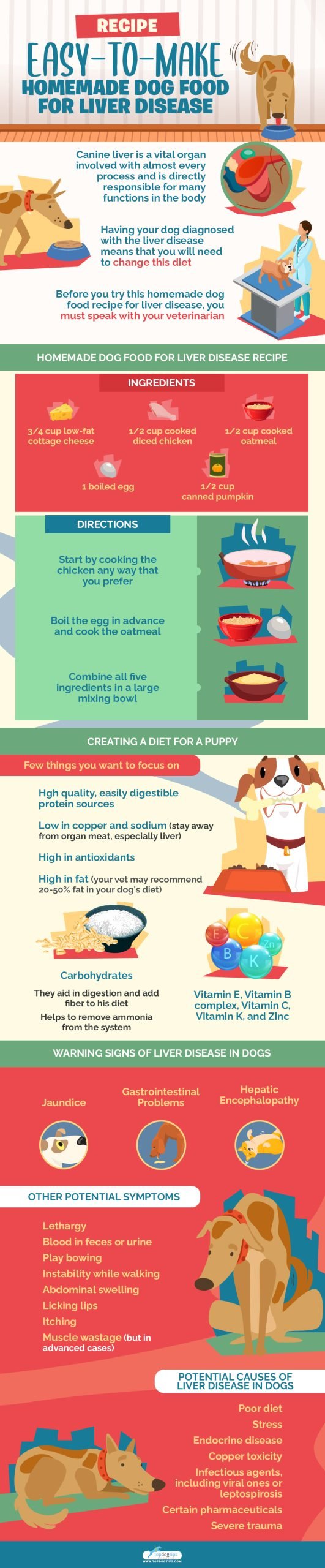 Recipe Easy-to-Make Homemade Dog Food for Liver Disease