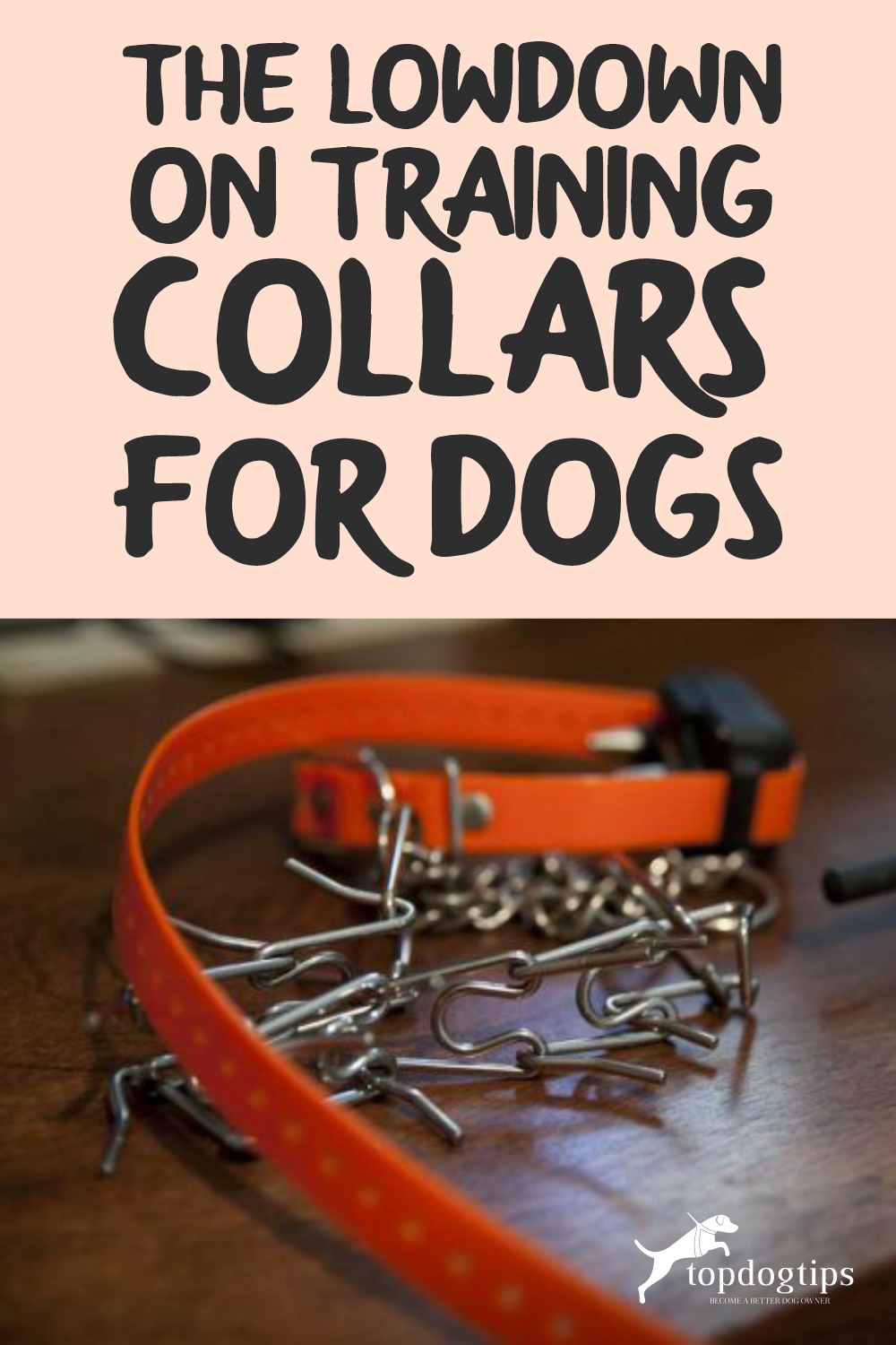 Training Collars for Dogs